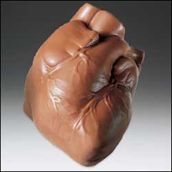 81.jpg Chocolate Heart-Anatomical Chocolate - Image 1
